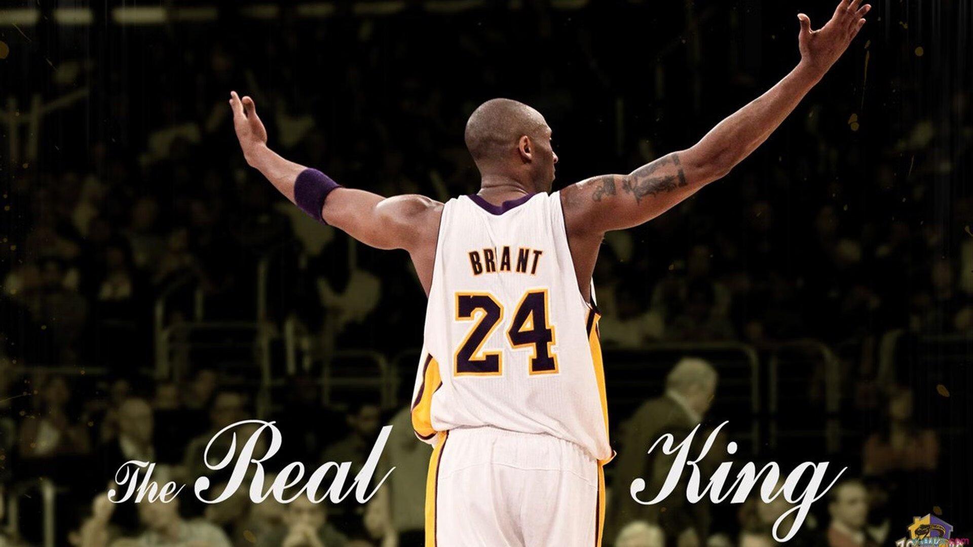 南北争辉，易建联林书豪领衔全明星首发，票选热潮折射联赛新格局